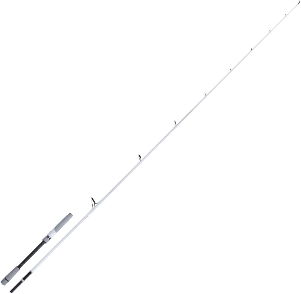 Shimano Stradic Sea Bass Spinnrute - 2,41 m Carbonrute mit 20 bis 60 g Wurfgewicht - Weiße einteilige Ausführung - Für Wolfsbarsch und kräftige Köder