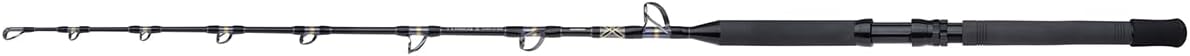 Shimano Tyrnos B Stand Up Spiral Meeresrute - 1,65 m Länge und 80 lb Klasse - Einteilige Rute mit Spiralberingung - Für Großfisch und Bootsangeln